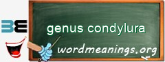 WordMeaning blackboard for genus condylura